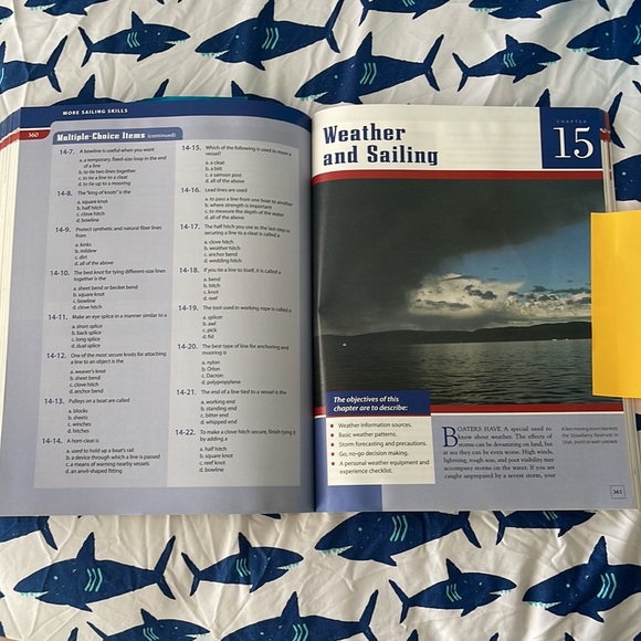 This is a good start 🐻❄️ - Picture 2 of 3